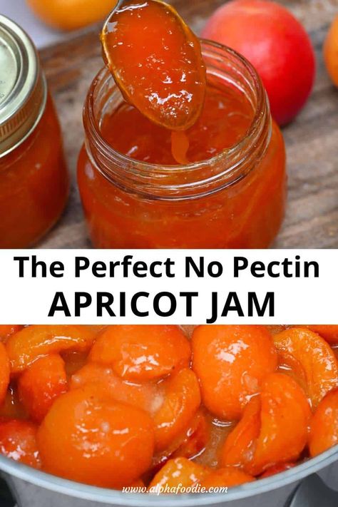 Apricot Freezer Jam Recipe, Dried Apricot Jam Recipe, Easy Apricot Jam Recipe, Canning Apricots, Apricot Jam Recipe, Marmalade Sandwich, Jam Without Pectin, Apricot Jam Recipes, Canning Jam Recipes