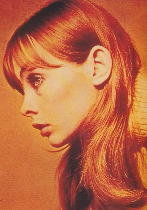 Picture of Jean Shrimpton Colleen Corby, 70s Jeans, Pattie Boyd, Jean Shrimpton, David Bailey, Hair Bangs, Trendy Hairstyles, Hairstyles With Bangs, Red Hair