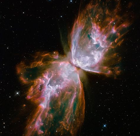 10 spectacular Hubble Space Telescope images | NOVA | PBS Butterfly Nebula, Hubble Space Telescope Pictures, Hubble Space Telescope Images, Supernova Explosion, Planetary Nebula, Helix Nebula, Nasa Hubble, Carina Nebula, Hubble Images