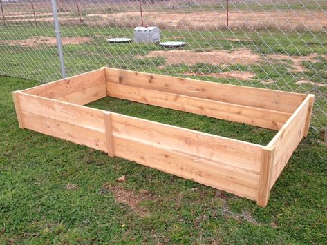 Homemade Garden Box Raised Garden Beds Diy Vegetables, Cedar Fence Pickets, Beds Diy, Cedar Raised Garden Beds, Winter Vegetables Gardening, Fence Pickets, Cedar Garden, Vegetable Garden Raised Beds, Building A Raised Garden