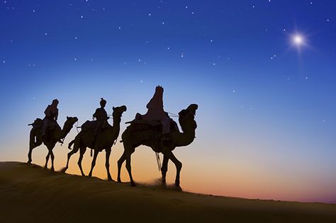 Solar System Images, Re Magi, The Star Of Bethlehem, Christ In Christmas, Religious Christmas Cards, Life Of Christ, Spiritual Things, Christian Traditions, Star Of Bethlehem