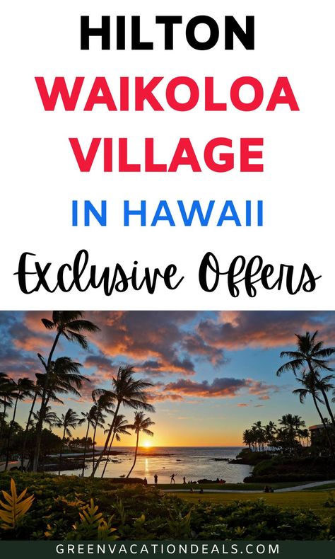 Waikoloa Hawaii, Hilton Waikoloa Village, Hawaii Vacation Tips, Waikoloa Village, Whale Watching Cruise, Hotel Sales, Hawaii Magazine, Hotel Swimming Pool, Hawaiian Travel