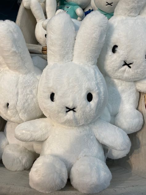 Aesthetic Plushies, Miffy Plush, Cute Squishies, Birthday List, Cute Aesthetic, Birthday Wishlist, Cute Stuffed Animals, Bunny Plush, Cute Toys