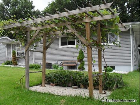 Grape Arbor Trellis Arbor Trellis, Grape Vine Trellis, Wisteria Pergola, Grape Trellis, Grape Arbor, Vine Trellis, Arbors Trellis, Cheap Pergola, Pergola Attached To House