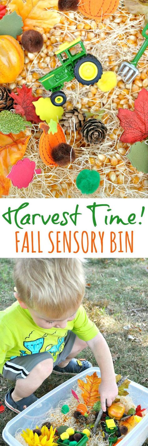 It’s Harvest Time! This Fall Sensory Bin is an easy and affordable way to entertain and engage toddlers and preschoolers this season, and it only takes about 5 minutes to put together! #sensory #bin Harvest Sensory Bin, Farm Sensory Bin, Fall Sensory Bin, Fall Sensory, Thanksgiving Games For Kids, Crescent Recipes, October Activities, Harvest Farm, Farm Activities