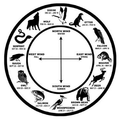 Native American Animal Symbols, Birth Animal, Native American Animals, American Symbols, Chinese Astrology, Animal Symbolism, Animal Spirit, Medicine Wheel, Spirit Animals