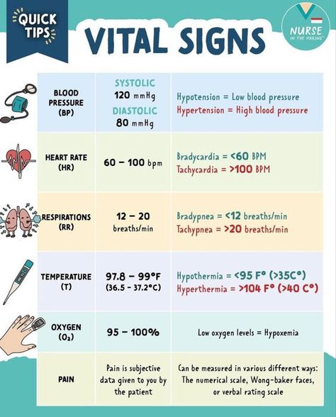 Medical Office Procedures, 6 Rights Of Medication Administration Nursing Mnemonics, Cma Study Tips, Pca Nurse Outfit, Basic Nursing Skills, Medical Assistant Necessities, Normal Vital Signs Nursing Cheat Sheets, Medical Assistant Instructor Ideas, Medical Assistant Aesthetic Notes