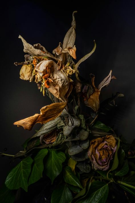 https://unsplash.com/photos/a-bunch-of-dead-flowers-sitting-on-top-of-a-table-veGjCRGjbho?utm_source=unsplash&utm_campaign=unsplash-ios&utm_medium=referral&utm_content=view-photo-on-unsplash Flower Portfolio, Form Photography, Witchy Academia, Wilted Flowers, Dead Flowers, Photography Ideas At Home, Growth And Decay, Palliative Care, Nothing But Flowers