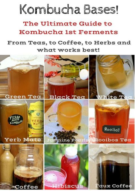 Green Tea Kombucha, Faux Coffee, Making Kombucha, Coffee Kombucha, Make Kombucha, Kombucha Flavors, Cultured Food, Kombucha Scoby, Best Teas