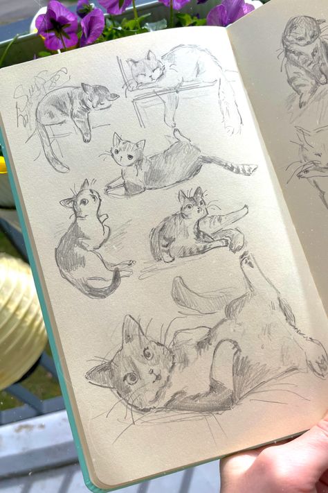 sketchbook cats Page Filling Drawings, Drawing Ideas To Fill A Page, Welcoming Page Sketchbook, Cat Journal Page, Welcome To Sketchbook Page, Sketch Book Welcome Page, Sketch Ideas Objects, Filled Sketchbook Page, Drawing Ideas To Fill A Sketchbook