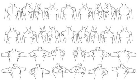 Male Torso, Human Figure Drawing, Anatomy Sketches, Reference Sheet, Body Reference Drawing, Drawing Studies, Anatomy Drawing, Body Drawing, Anatomy Reference