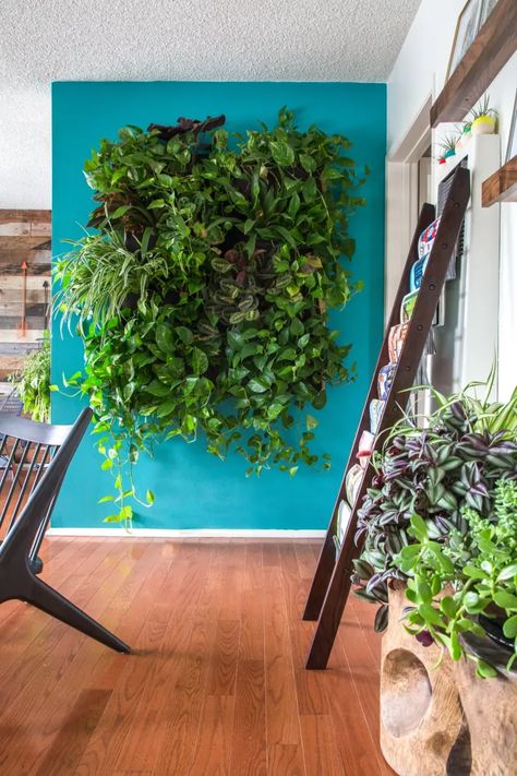 Living Wall Indoor, Vertical Garden Indoor, Vertical Garden Design, Vertical Vegetable Garden, Vertical Garden Wall, Vertical Herb Garden, Vertical Gardens, Walled Garden, Wall Garden