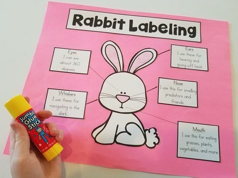 Writing Activities Kindergarten, Rabbit Facts, Kids Workout, Poem Activities, Reading And Writing Activities, Activities Kindergarten, Farm School, Month Of April, Fact And Opinion