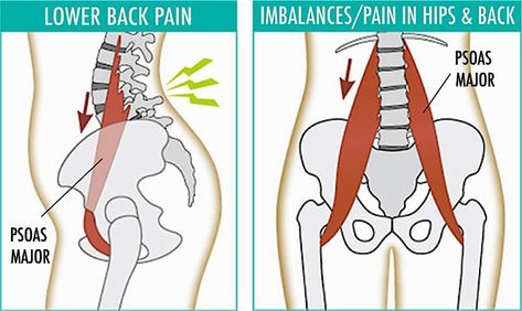 psoas muscle stretches - Live Love Fruit Psoas Muscle Pain, Psoas Iliaque, Nervus Vagus, Hata Yoga, Psoas Release, Muscle Stretches, Tracy Anderson, Psoas Muscle, Muscle Pain Relief