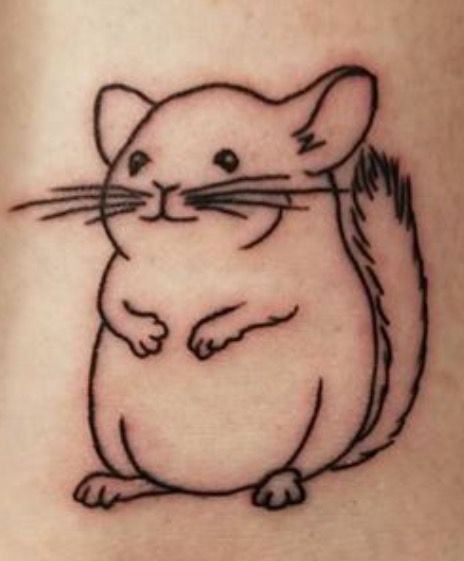 How To Draw A Chinchilla, Chinchilla Tattoo Simple, Chinchilla Tattoo Ideas, Chinchilla Tattoo, Chinchilla Craft, Chinchilla Coloring Page, Chinchilla Black, Chinchilla Cute, Design Drawings