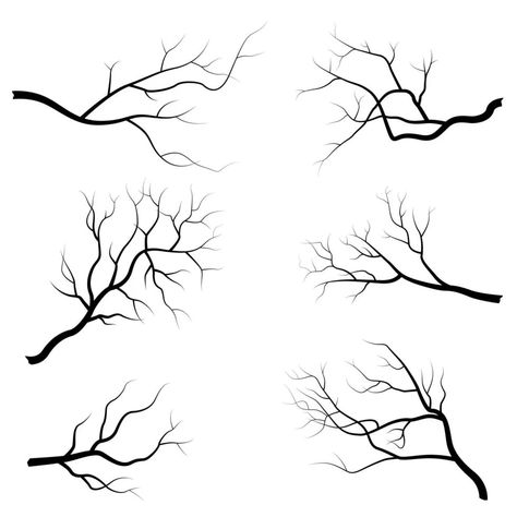 Tree branch set How To Draw Branches, How To Draw Tree Branches, Tree Branches Painting, Tree Branches Tattoo, Tree Branches Drawing, Draw Tree Branches, Tree Branch Drawing, Branches Drawing, Tree Branch Painting