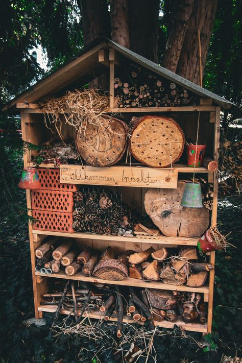 DIY insect hotels for the garden have become a popular way to help bees and pollinators, but do they really work? Are they good or bad for the pollinator garden? Visit the blog and read the article to learn more, and find out if an insect hotel is the best strategy for your pollinator garden design and layout. Diy Insect Hotel, Stick Insect Enclosure, Bee Garden Design, Bee Habitat, Bug Houses, Hotel Plants, Bee Hotels, Bug Hotels, Pollinator Garden Design