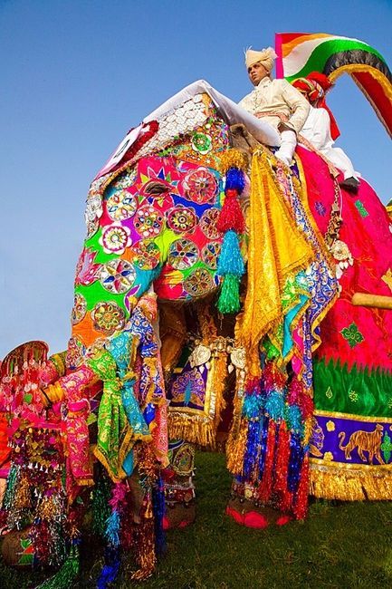 ELEFANTES ADORNADOS - Colorful India Elephant Festival, Festivals Around The World, India Colors, Elephant Painting, We Are The World, Indian Summer, Rajasthan India, Jaipur Rajasthan, An Elephant