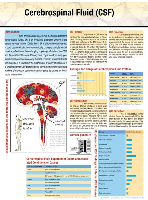 Cerebrospinal fluid (CSF) at glance. Spinal Fluid, Craniosacral Therapy, Chiari Malformation, Cerebrospinal Fluid, Brain Surgery, Central Nervous System, Neurology, Anatomy And Physiology, Neuroscience