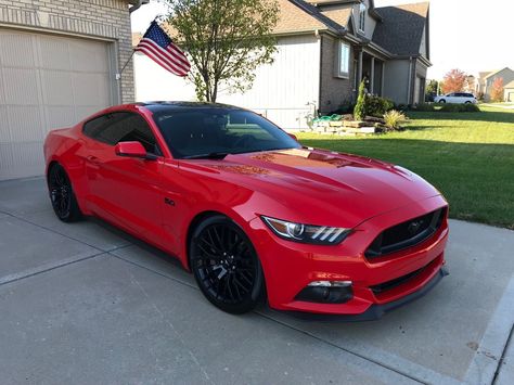 2015 Ford Mustang Gt, Mustang Ecoboost Premium, Mustang Gt 2015, 2018 Mustang Gt, Ford Mustang 2016, Ford Mustang Gt 2015, Mustang 2018, 2015 Mustang Gt, 2017 Mustang