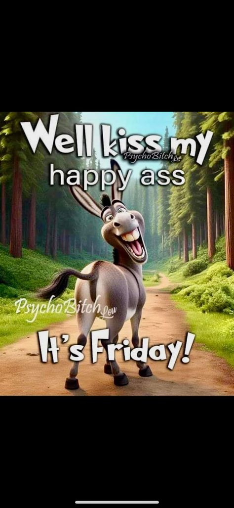 Its Friday Humor Funny Hilarious, Sunday Humor Hilarious Mornings, Friday Morning Humor, Funny Good Morning Images Hilarious, Funny Friday Humor, Friday Humor Hilarious, Happy Friday Funny Humor, Friday Funny Memes Hilarious, Friday Humor Tgif