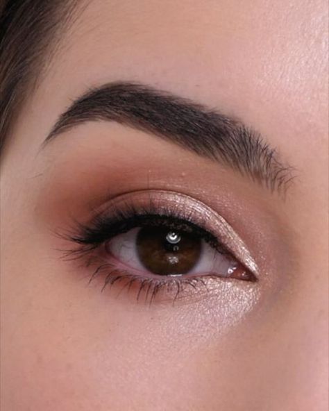 "Oh Christmas brow, oh Christmas brow, how lovely are your arches... Light Neutral Eyeshadow, Day Party Eye Makeup, Eye Makeup Neutral Colors, Hazel Eyeshadow Looks, Soft Glam For Brown Eyes, Soft Eyeshadow Looks Brown Eyes, Simple Brown Eyeshadow Looks, Natural Eyeshadow For Brown Eyes, Eyeshadow Looks Neutral