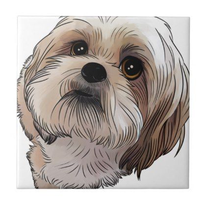 Dogs Tattoo, Perro Shih Tzu, Shih Tzu Grooming, Wallpaper Dog, Tattoo Dog, Food Dog, 강아지 그림, Pets Cute, Dog Home