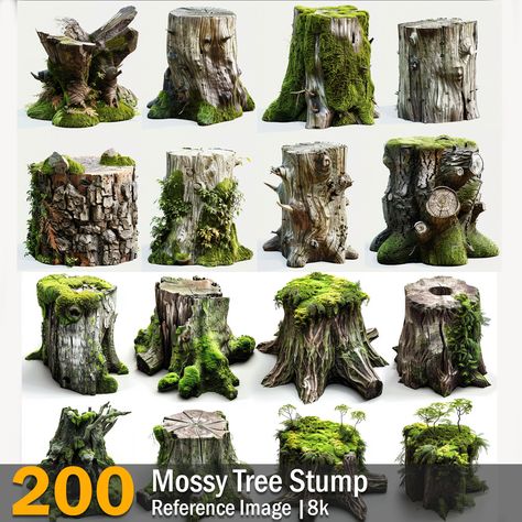 Mossy Tree Stump | Reference Images | 8k,  on ArtStation at https://www.artstation.com/artwork/49D2B4 Tree Stump Reference, Tropical Bushes, Log Illustration, Isometric Tree, Forest And Beach, Mossy Log, Stone Waterfall, Beach Trees, Nature Reference