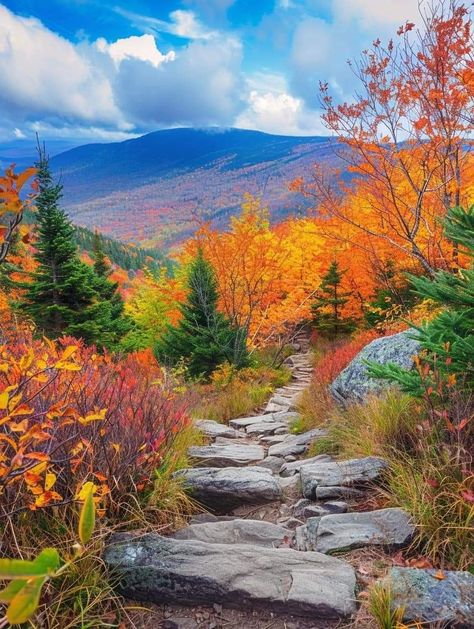 Appalachian Mountains Aesthetic, Aesthetic Background Green, Fall Season Pictures, Mine Aesthetic, Pretty Nature Pictures, Mountains Aesthetic, Picture Tree, The Appalachian Trail, Beautiful Roads