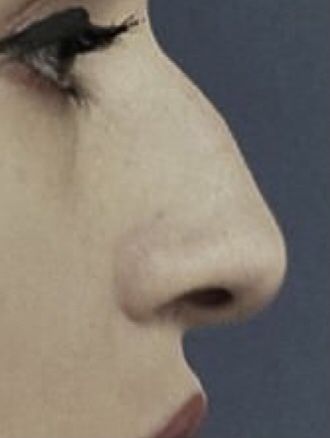 Hooked Nose Woman Front View, Italian Nose, Aquiline Nose, Nose Ideas, Greek Nose, Nose Reference, Roman Nose, Hooked Nose, Crooked Nose