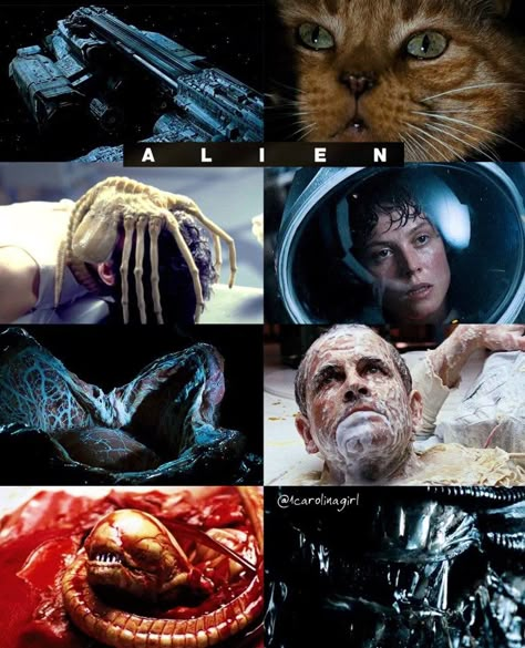 Alien Hr Giger, Alien Movie 1979, The Evening Star, Alien X, Alien Resurrection, Aliens 1986, Ellen Ripley, Alien Movies, Alien Alien