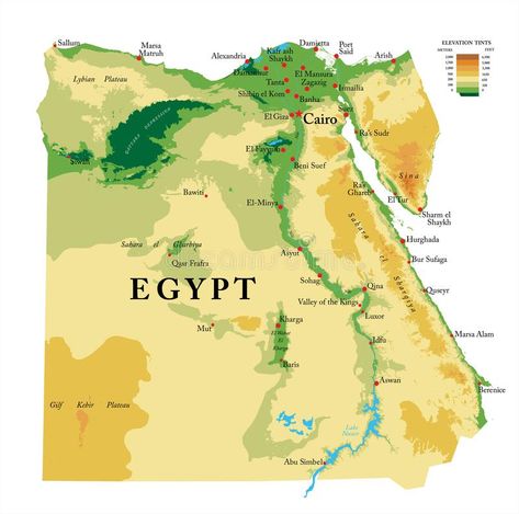 Egypt physical map. Highly detailed physical map of the Egypt , in vector format #Sponsored , #sponsored, #Advertisement, #physical, #vector, #format, #map Egypt Map Design, Egypt Map Illustration, Ancient Egypt Map, Cities Illustration, Map Of Slovenia, Map Of Egypt, Egyptian Flag, South Africa Map, Egypt Map