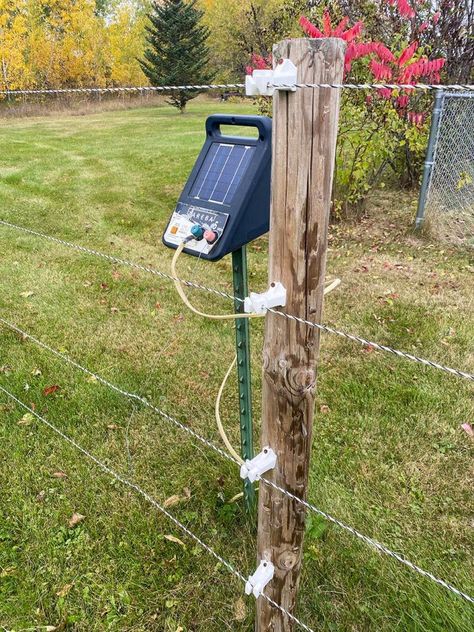 Farm Dust, Yard Hacks, Equine Barns, Electric Fence Energizer, Land Ideas, Horse Fence, Field Fence, Electric Fencing, Diy Horse Barn