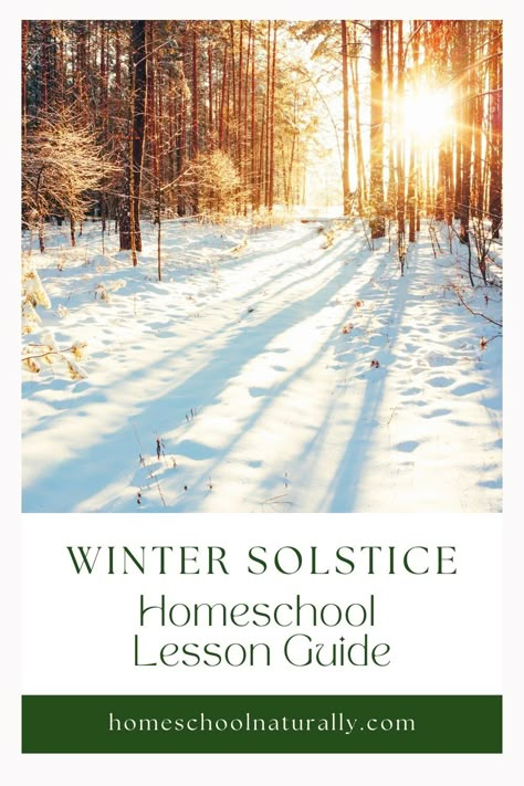 Winter Solstice Homeschool Lesson — Homeschool Naturally Winter Solstice Homeschool, Winter Homeschool Ideas, Winter Solstice Kids Activities, Winter Solstice Activities For Kids, Winter Unit Study, Waldorf Lessons, Winter Homeschool, Diy Homeschool, Secular Christmas