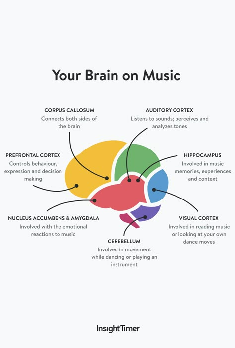 Brain On Music, Dancing Around The Kitchen, Music Infographic, Music And The Brain, Insight Timer, Music Theory Lessons, Piano Music Lessons, Music Therapist, Full Workout