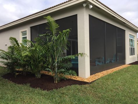 We installed (4) 25-gallon "Cabadae Palms" for  lanai privacy screening and stone around the outside of patio. Landscaping Around Lanai, Screen Lanai Privacy Ideas, Florida Landscaping Around Pool Cage, Lanai Makeover, Screen Lanai Ideas Florida, Screened In Patio Florida, Hawaii Lanai, Lanai Ideas, Lanai Patio