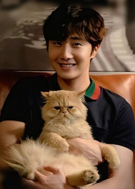 Cat Good Morning, Il Woo, Jung Il Woo, Korean Wave, Gong Yoo, Cha Eun Woo, Tv Stars, K Idols, The Cutest