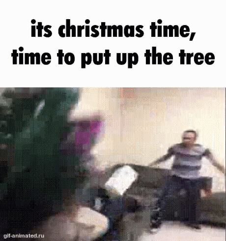 Christmas Christmas Tree GIF - Christmas Christmas tree Throwing tree - Discover & Share GIFs Tree Animated, Christmas Tree Gif, Gif Christmas, Christmas Meme, Meme Gif, Christmas Memes, The Stranger, Best Funny Pictures, Christmas Christmas