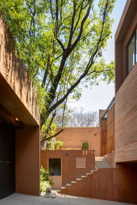 PPAA completes earthy board-formed concrete residence in Mexico City Small Staircase, Board Formed Concrete, Houses In Mexico, Basement Floor Plans, Internal Courtyard, Small Courtyards, Stone Cottage, Ground Floor Plan, Facade Architecture