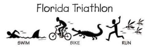 Triathlon Humor, Triathlon Quotes, Triathlon Tattoo, Triathlon Motivation, Swimming Memes, Learning Board, Funny P, Ironman Triathlon, Everything Funny