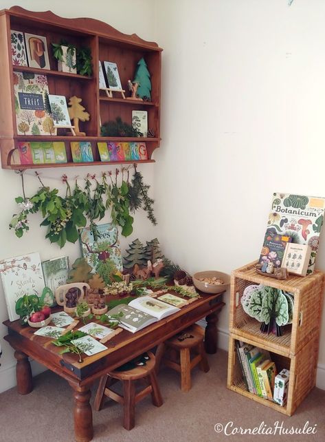 Nature Display, Homeschool Room Design, Nature Room, Nature School, Home Daycare, Homeschool Classroom, Homeschool Learning, Nature Table, School Room