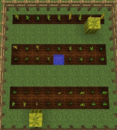 Melon Farm Minecraft, Pumpkin Farm Minecraft, Minecraft Melon Farm, Farms Design, Minecraft Farms, Minecraft Pumpkin, How To Farm, Farm Minecraft, Minecraft Farm