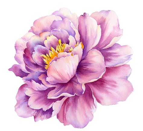 Simple Things To Paint, Easy Canvas Painting For Beginners, Peony Drawing, Peony Illustration, Painting Flowers Tutorial, Flower Drawing Tutorials, Peony Painting, Watercolor Flower Art, 수채화 그림