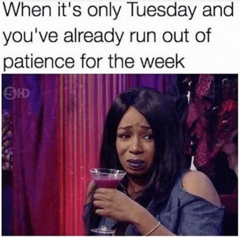 And I say that you can do this, because OMG I don't think I have the patience to last thru the day and a big no to patience lasting throughout the week! Happy Tuesday Meme, Funny Tuesday, Tuesday Meme, Its Only Tuesday, Happy Tuesday Quotes, The Moment You Realize, Morning Memes, Tuesday Quotes, Tuesday Humor