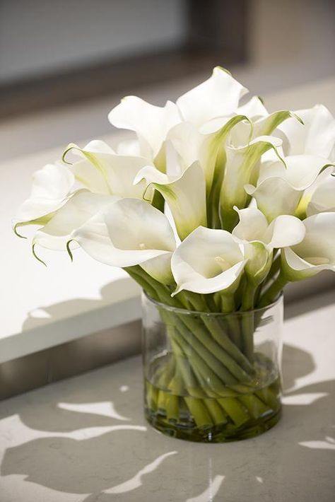 Calla Lily Arrangement, Calla Lillies Wedding, Isle Decor, Lily Arrangement, White Rose Centerpieces, Calla Lily Centerpieces, Stargazer Lilly, Calla Flower, White Calla Lilies