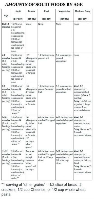 New baby food chart by age 37+ ideas,  #age #baby #babyfeedingbyage #Chart #food #ideas Check more at http://babyblog3.tvizlet.me/new-baby-food-chart-by-age-37-ideas/ Baby Food Schedule, Baby Food By Age, Diy Baby Food, Baby Food Chart, Baby First Foods, Baby Weaning, Solids For Baby, Food Charts, Food Baby