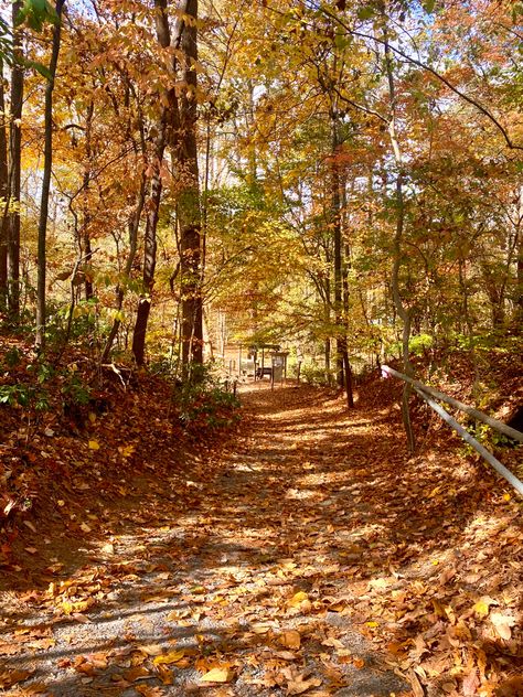 Autumn Hiking Aesthetic, Hiking Aesthetic Fall, Gronola Aesthetic, Fall Hike Aesthetic, Fall Hiking Aesthetic, Autumnal Activities, Hike Aesthetic, Aesthetic Fall Vibes, Hiking Fall