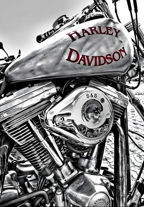 Motocykle Harley Davidson, Harley Davidson Decals, Motorcycle Art Painting, Harley Davidson Scrambler, Harley Davidson Engines, Motorbike Art, Harley Davidson Artwork, Motos Vintage, Harley Davidson Wallpaper