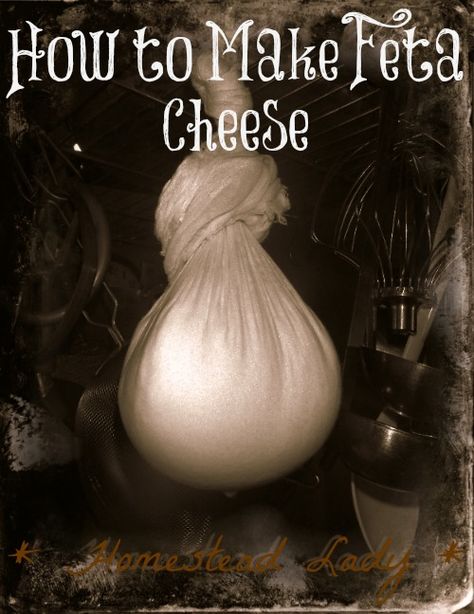 Traditionally a raw cheese, feta is amongst the easiest cheeses to make yourself! Stop paying for it and start making it! Make Feta Cheese, Homemade Feta, Cheese Recipes Homemade, Cheese Making Recipes, Raw Cheese, Recipes Cheese, Goat Milk Recipes, Making Cheese, Diy Cheese