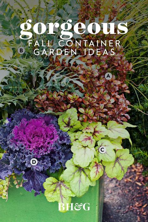 Liven up your fall garden with these stunning container garden ideas. Get creative with seasonal favorites such as mums, flowering kale, and pansies, or play with dynamic combinations of annuals, perennials, and grasses that also make excellent fall container plants. #containergardening #gardenideas #fallcontainergardenideas #fallgardening #bhg Fall Potted Plants, Shade Plants Container, Autumn Ambience, Fall Container Plants, Fall Flower Pots, Fall Pots, Fall Landscaping, Container Garden Ideas, Fall Container Gardens